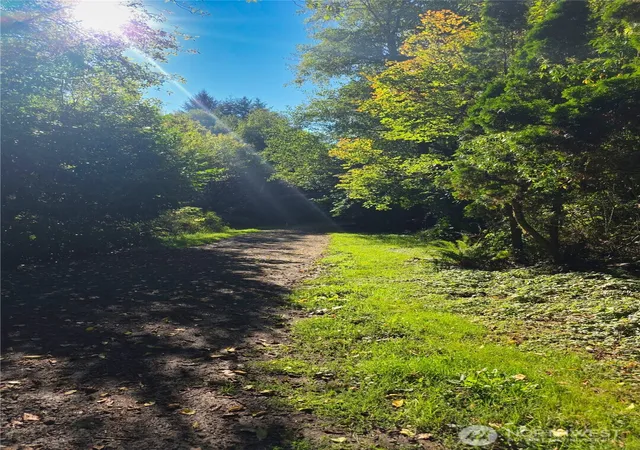 Photo 3 of Sale Pending at 273 Pioneer Crk Ln, Cosmopolis, WA 98537 | MLS# NWM2583887 | Listing updated on 2026-09-23