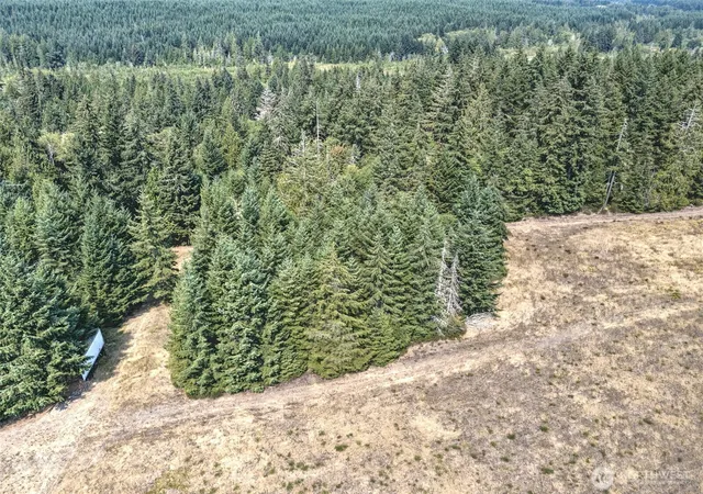 Photo 3 of Sale Pending at 8391 E State Route 3, Shelton, WA 98584 | MLS# NWM2584012 | Listing updated on 2026-09-21