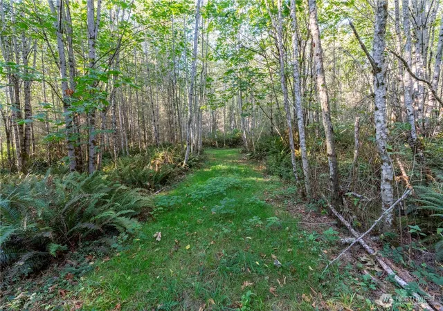 Photo 4 of Land for sale at 0 Lind Rd, Port Townsend, WA 98368 | MLS# NWM2584062 | Listing updated on 2026-09-23