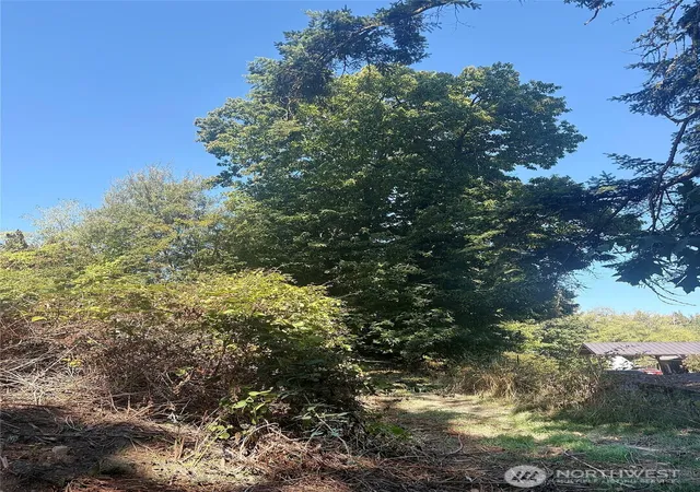 Photo 3 of Land for sale at 1881 Newman Rd, Freeland, WA 98249 | MLS# NWM2584797 | Listing updated on 2026-10-01