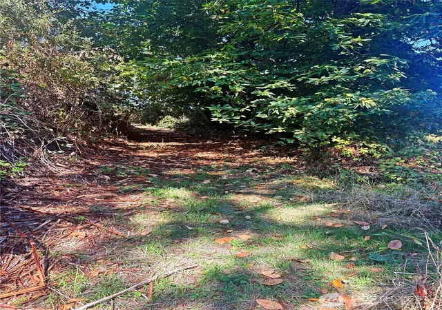 Photo 3 of Land for sale at 1881 Newman Rd, Freeland, WA 98249 | MLS# NWM2584797 | Listing updated on 2026-10-01