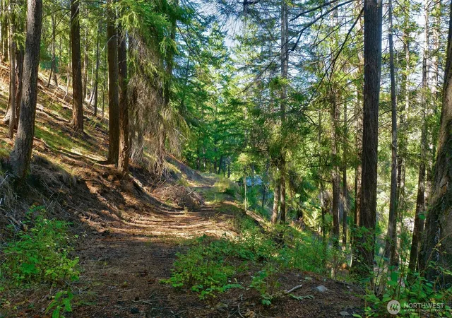 Photo 1 of Land for sale at 0 Pine Cliffs Dr, Naches, WA 98937 | MLS# NWM2584799 | Listing updated on 2026-09-20