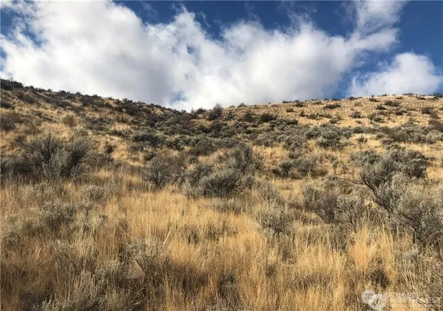 Land for sale at 0 Goldfish Gulch Rd, Waterville, WA 98802 | MLS# NWM2584871