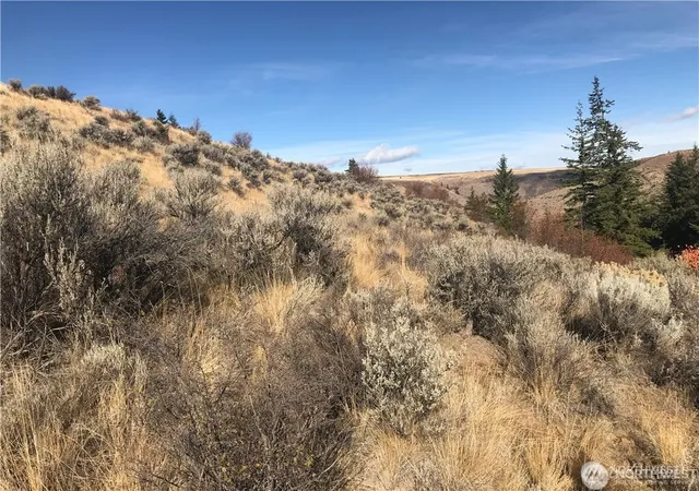 Photo 2 of Land for sale at 0 Goldfish Gulch Rd, Waterville, WA 98802 | MLS# NWM2584871 | Listing updated on 2026-09-19