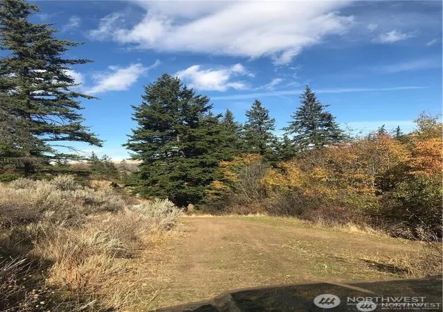Photo 3 of Land for sale at 0 Goldfish Gulch Rd, Waterville, WA 98802 | MLS# NWM2584871 | Listing updated on 2026-09-19