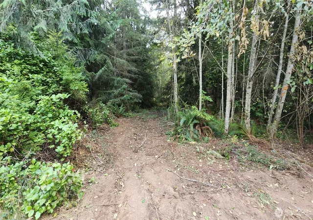 Photo 2 of Land for sale at 9999 Gossett Rd, Port Angeles, WA 98363 | MLS# NWM2584917 | Listing updated on 2026-09-23