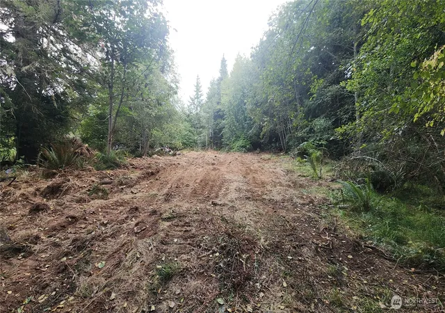 Photo 3 of Land for sale at 9999 Gossett Rd, Port Angeles, WA 98363 | MLS# NWM2584917 | Listing updated on 2026-09-23