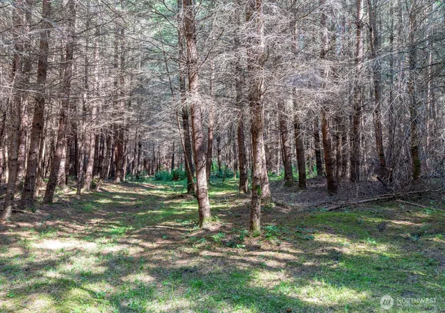 Photo 4 of Land for sale at 0 Anoasis Pl, Langley, WA 98260 | MLS# NWM2585004 | Listing updated on 2026-10-09