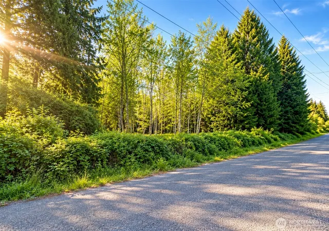 Photo 3 of Land for sale at 18415 170th Street E, Bonney Lake, WA 98391 | MLS# NWM2585043 | Listing updated on 2026-09-30