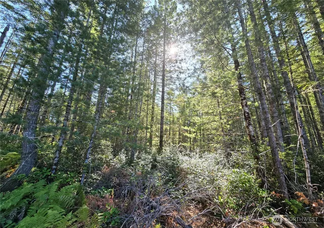 Land for sale at 0 NE Xxx 5 Ac Dewatto Hills Rd, Tahuya, WA 98588 | MLS# NWM2585057