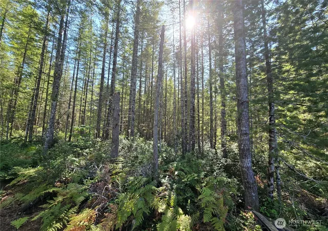 Photo 2 of Land for sale at 0 Ne Xxx 5 Ac Dewatto Hills Rd, Tahuya, WA 98588 | MLS# NWM2585057 | Listing updated on 2026-09-21