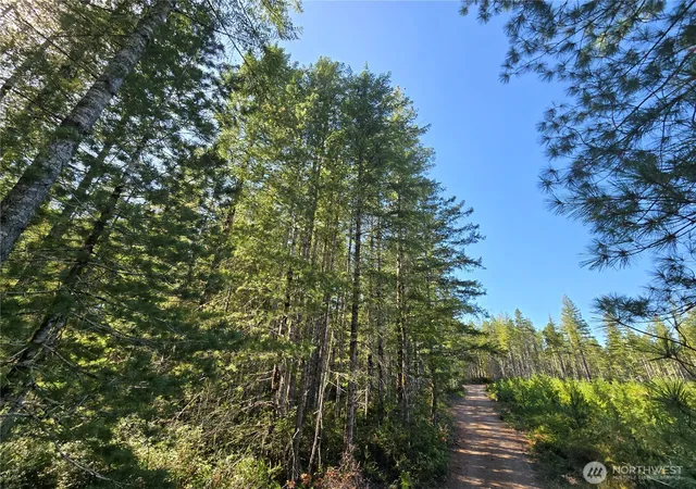 Photo 3 of Land for sale at 0 Ne Xxx 5 Ac Dewatto Hills Rd, Tahuya, WA 98588 | MLS# NWM2585057 | Listing updated on 2026-09-21
