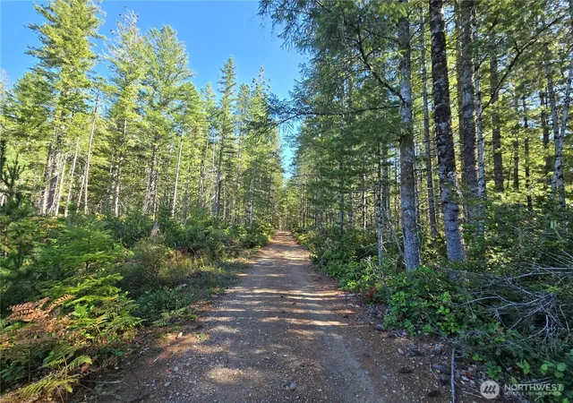 Photo 3 of Land for sale at 0 NE Xxx 5 Ac Dewatto Hills Rd, Tahuya, WA 98588 | MLS# NWM2585057 | Listing updated on 2026-09-21