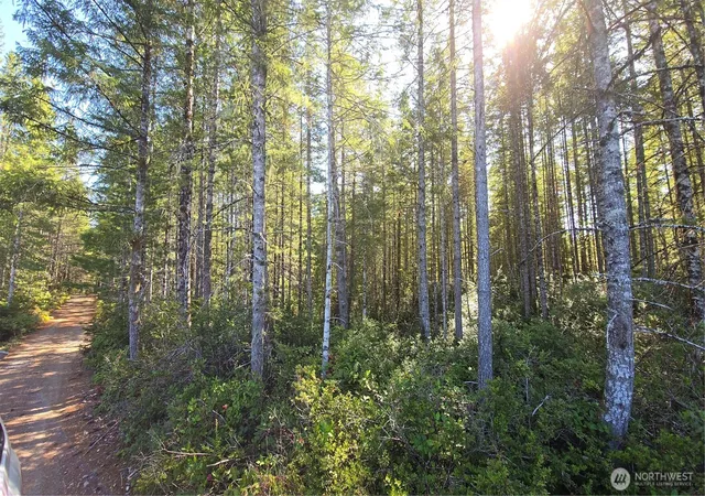 Photo 4 of Land for sale at 0 NE Xxx 5 Ac Dewatto Hills Rd, Tahuya, WA 98588 | MLS# NWM2585057 | Listing updated on 2026-09-21