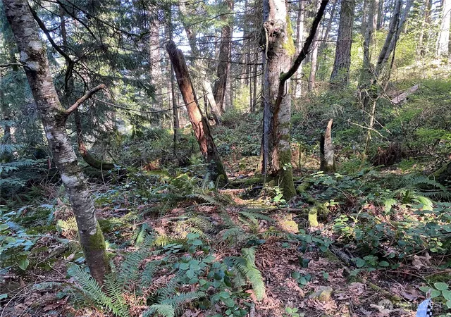 Photo 1 of Land for sale at 2861 Aiston Crk Rd, Lummi Island, WA 98262 | MLS# NWM2585126 | Listing updated on 2026-09-20