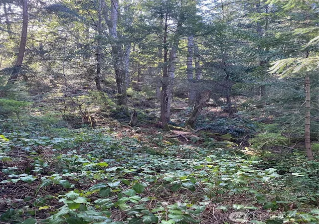 Photo 3 of Land for sale at 2861 Aiston Crk Rd, Lummi Island, WA 98262 | MLS# NWM2585126 | Listing updated on 2026-09-20