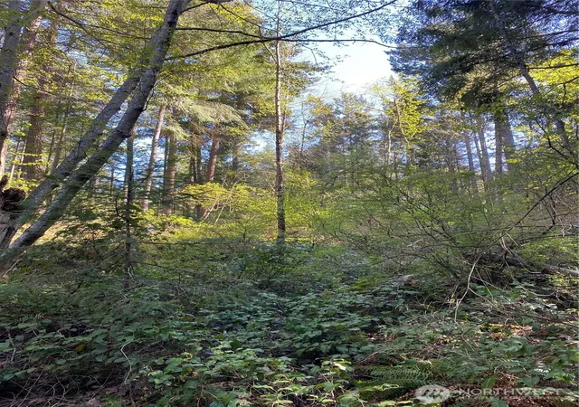 Photo 4 of Land for sale at 2861 Aiston Crk Rd, Lummi Island, WA 98262 | MLS# NWM2585126 | Listing updated on 2026-09-20