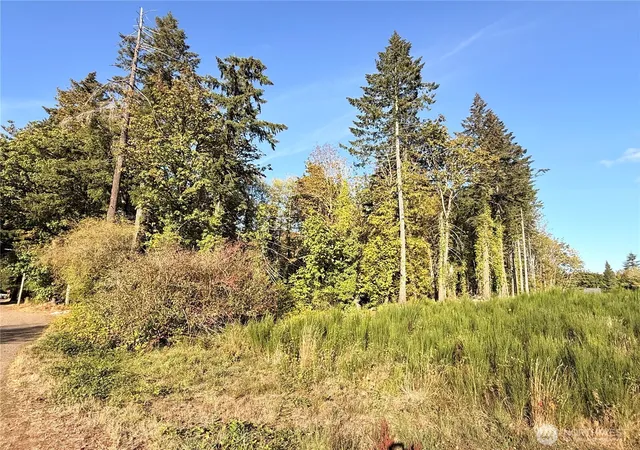 Photo 1 of Land for sale at 0 Lots 1 67 Harvard/turner Ave W, Shelton, WA 98584 | MLS# NWM2585153 | Listing updated on 2026-10-03