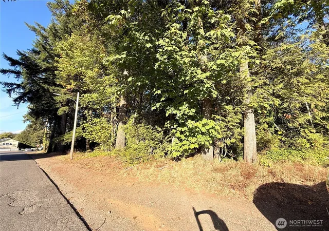Photo 3 of Land for sale at 0 Lots 1 67 Harvard/turner Ave W, Shelton, WA 98584 | MLS# NWM2585153 | Listing updated on 2026-10-03