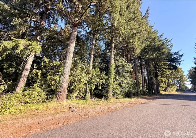 Photo 3 of Land for sale at 0 Lots 1 67 Harvard/turner Ave W, Shelton, WA 98584 | MLS# NWM2585153 | Listing updated on 2026-10-03