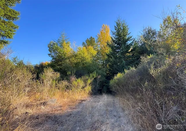 Photo 1 of Land for sale at 9999 Chasewood Dr, Port Angeles, WA 98363 | MLS# NWM2585154 | Listing updated on 2026-09-30