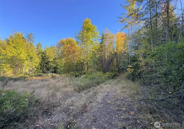 Photo 3 of Land for sale at 9999 Chasewood Dr, Port Angeles, WA 98363 | MLS# NWM2585154 | Listing updated on 2026-09-30