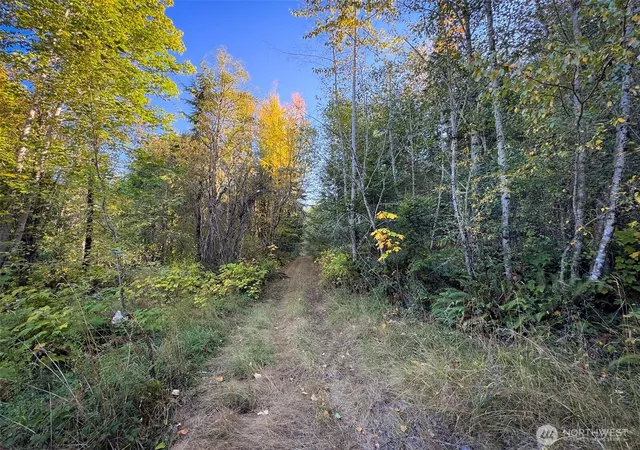 Photo 3 of Land for sale at 9999 Chasewood Dr, Port Angeles, WA 98363 | MLS# NWM2585154 | Listing updated on 2026-09-30