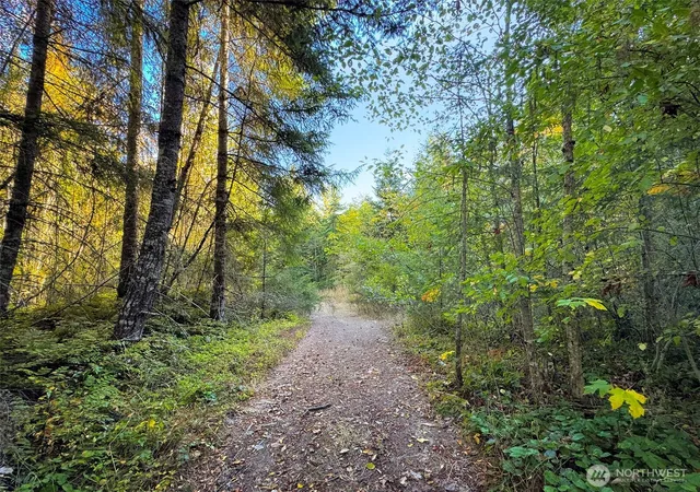 Photo 4 of Land for sale at 9999 Chasewood Dr, Port Angeles, WA 98363 | MLS# NWM2585154 | Listing updated on 2026-09-30