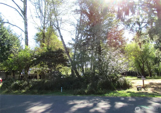 Photo 3 of Land for sale at 861 Hassalo Ave Se, Ocean Shores, WA 98569 | MLS# NWM2585330 | Listing updated on 2026-09-25