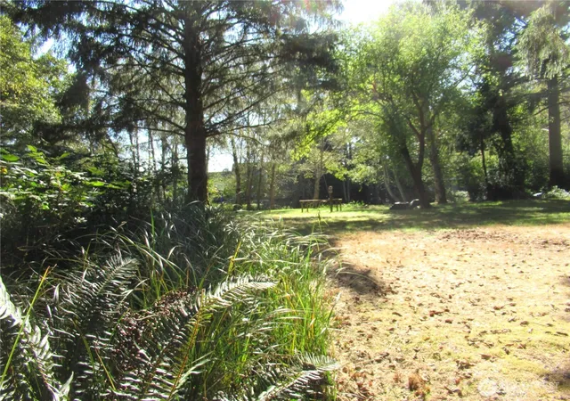 Photo 4 of Land for sale at 861 Hassalo Ave SE, Ocean Shores, WA 98569 | MLS# NWM2585330 | Listing updated on 2026-09-25