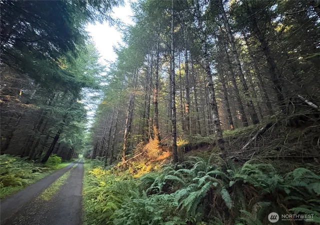 Land for sale at 0 Nka Wiest Rd, Longview, WA 98632 | MLS# NWM2585364