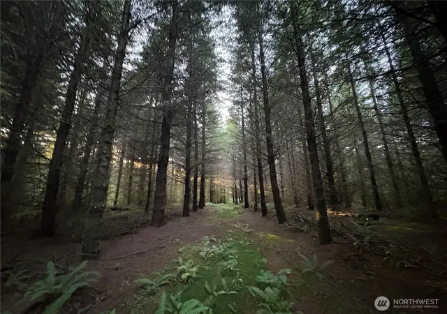 Photo 2 of Land for sale at 0 Nka Wiest Rd, Longview, WA 98632 | MLS# NWM2585364 | Listing updated on 2026-09-21
