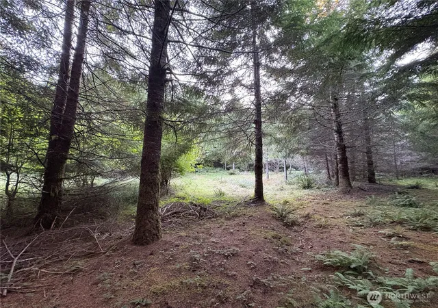 Photo 4 of Land for sale at 0 Nka Wiest Rd, Longview, WA 98632 | MLS# NWM2585364 | Listing updated on 2026-09-21