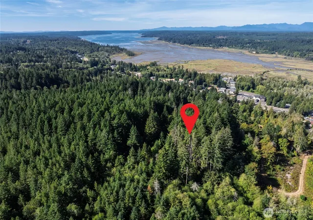 Photo 4 of Land for sale at 0 NE Wj Way, Belfair, WA 98528 | MLS# NWM2585421 | Listing updated on 2026-09-23