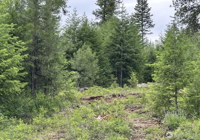 Photo 1 of Land for sale at 3600 Sheridan Rd #D, Republic, WA 99166 | MLS# NWM2585458 | Listing updated on 2026-09-23