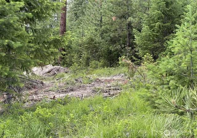 Photo 2 of Land for sale at 3600 Sheridan Rd #D, Republic, WA 99166 | MLS# NWM2585458 | Listing updated on 2026-09-23
