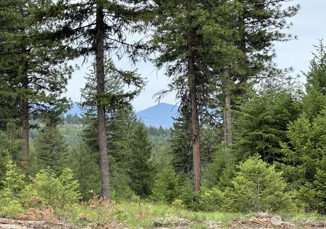 Photo 3 of Land for sale at 3600 Sheridan Rd #D, Republic, WA 99166 | MLS# NWM2585458 | Listing updated on 2026-09-23