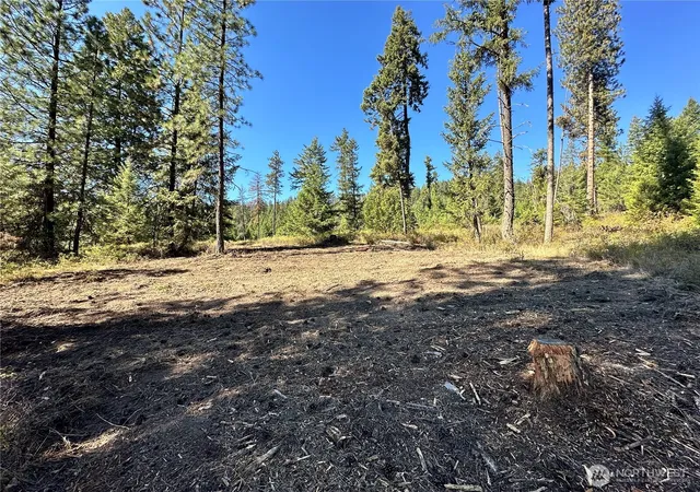 Land for sale at 1 Lot 1 Deadman Crk Rd, Kettle Falls, WA 99141 | MLS# NWM2585854