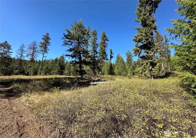 Photo 2 of Land for sale at 1 Lot 1 Deadman Crk Rd, Kettle Falls, WA 99141 | MLS# NWM2585854 | Listing updated on 2026-09-23