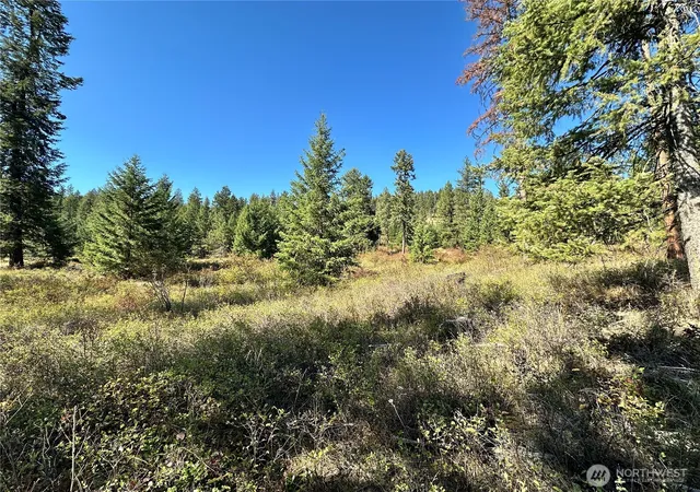 Photo 3 of Land for sale at 1 Lot 1 Deadman Crk Rd, Kettle Falls, WA 99141 | MLS# NWM2585854 | Listing updated on 2026-09-23
