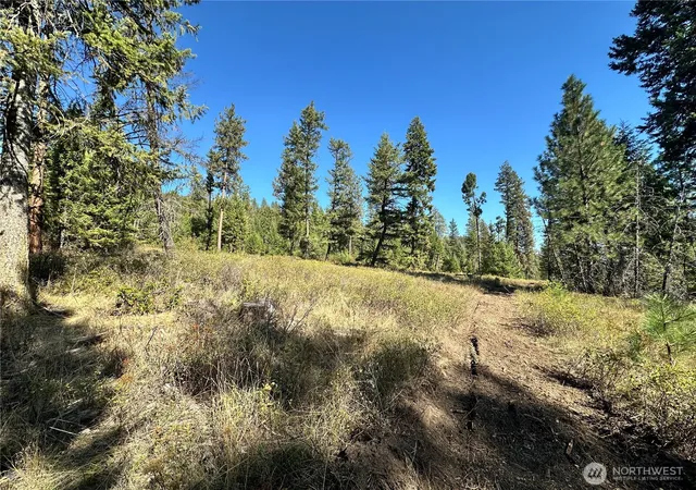Photo 3 of Land for sale at 1 Lot 1 Deadman Crk Rd, Kettle Falls, WA 99141 | MLS# NWM2585854 | Listing updated on 2026-09-23