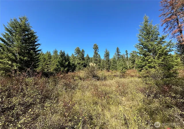 Photo 4 of Land for sale at 1 Lot 1 Deadman Crk Rd, Kettle Falls, WA 99141 | MLS# NWM2585854 | Listing updated on 2026-09-23