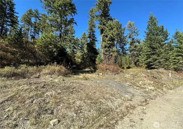 Land for sale at 3 Lot 3 Deadman Crk Rd, Kettle Falls, WA 99141 | MLS# NWM2585872