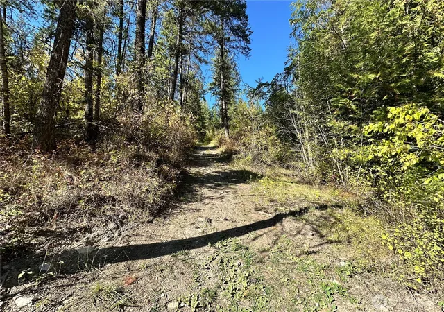 Photo 3 of Land for sale at 3 Lot 3 Deadman Crk Rd, Kettle Falls, WA 99141 | MLS# NWM2585872 | Listing updated on 2026-09-23