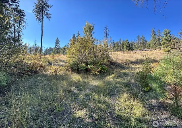 Photo 4 of Land for sale at 3 Lot 3 Deadman Crk Rd, Kettle Falls, WA 99141 | MLS# NWM2585872 | Listing updated on 2026-09-23