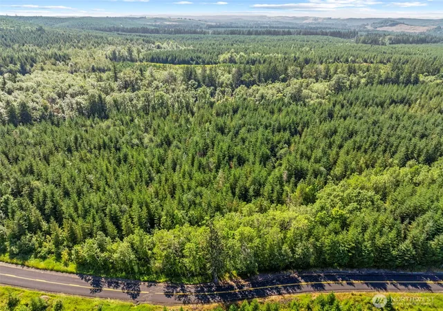 Photo 3 of Land for sale at 0 Nka Finkas Rd, Toutle, WA 98649 | MLS# NWM2586037 | Listing updated on 2026-09-24