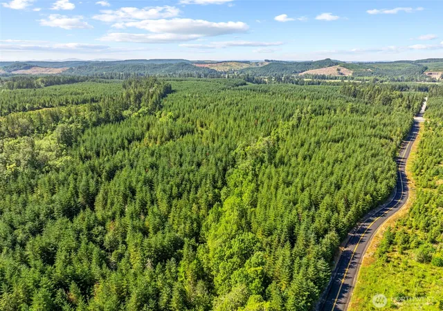 Photo 4 of Land for sale at 0 Nka Finkas Rd, Toutle, WA 98649 | MLS# NWM2586037 | Listing updated on 2026-09-24