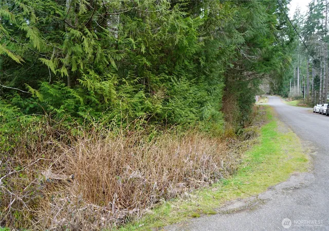 Photo 3 of Land for sale at 321 E Ballycastle Way, Shelton, WA 98584 | MLS# NWM2586054 | Listing updated on 2026-09-25