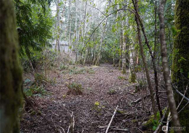 Photo 3 of Land for sale at 321 E Ballycastle Way, Shelton, WA 98584 | MLS# NWM2586054 | Listing updated on 2026-09-25
