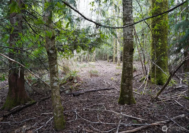 Photo 4 of Land for sale at 321 E Ballycastle Way, Shelton, WA 98584 | MLS# NWM2586054 | Listing updated on 2026-09-25